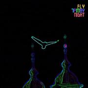 Night Flying