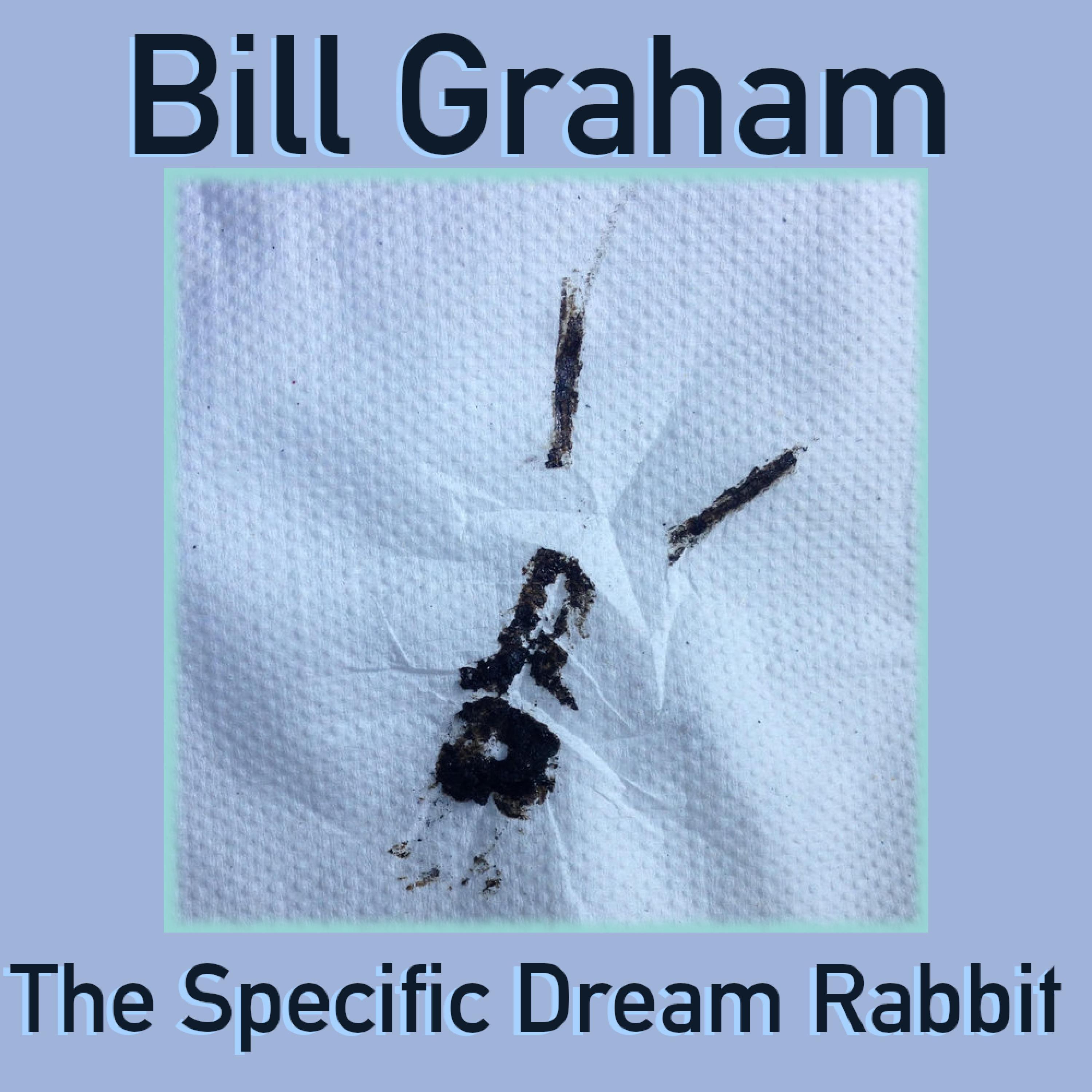 The Specific Dream Rabbit