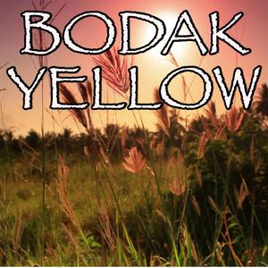 Bodak Yellow Money Moves(unofficial Instrumental) （原版立体声无和声） （降1半音）