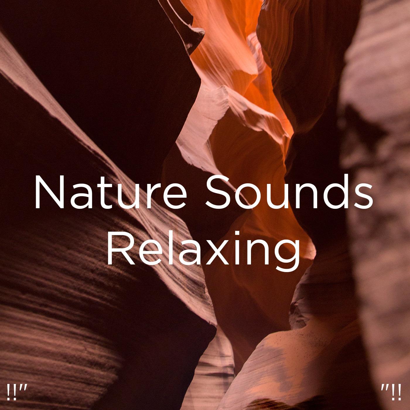 !!" Nature Sounds Relaxing "!!