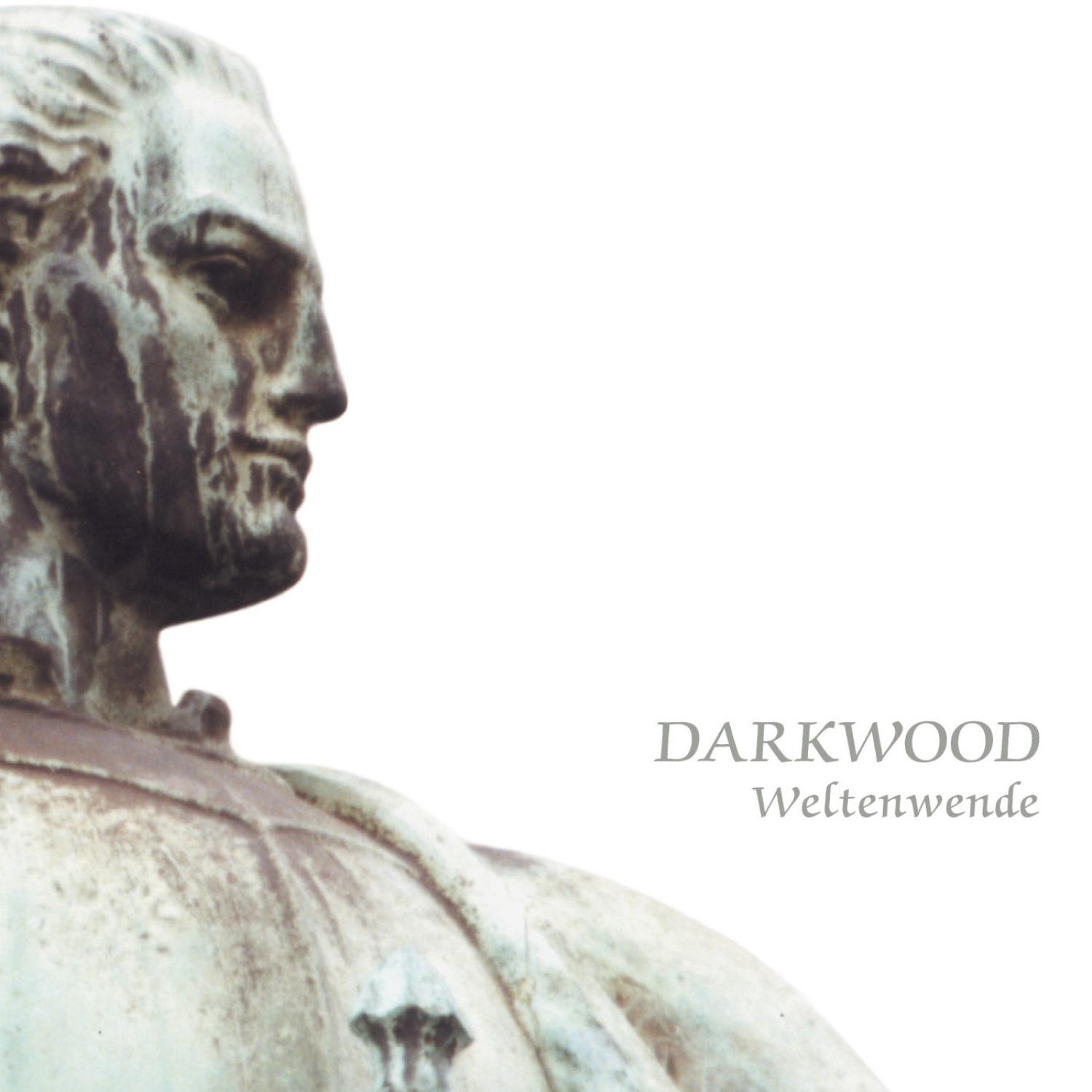 Darkwood - Der Falken Flug
