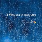 I miss you in rainy day专辑