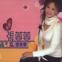 张蓉蓉 - 孤单影(原版立体声伴奏)