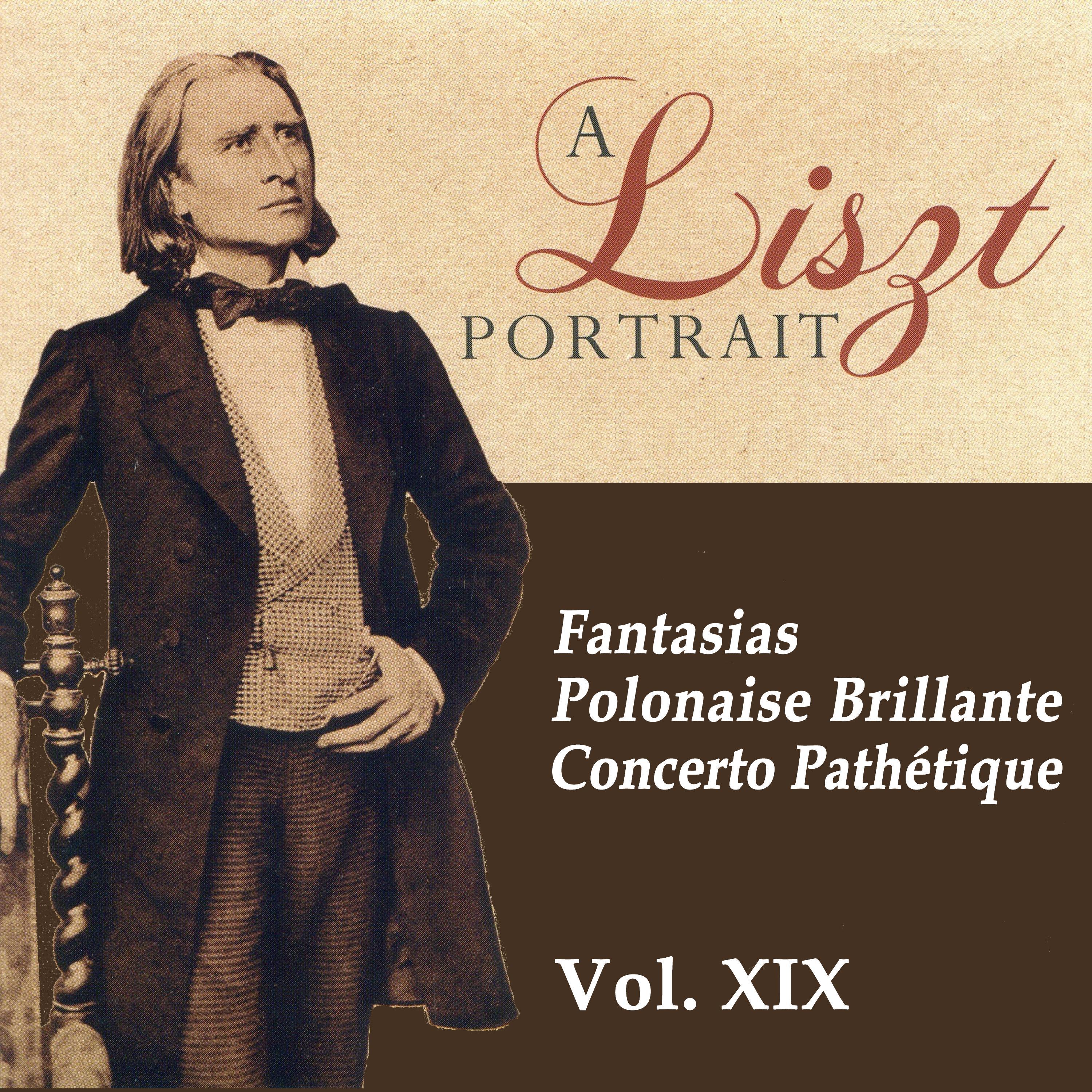 A Liszt Portrait, Vol. XIX专辑