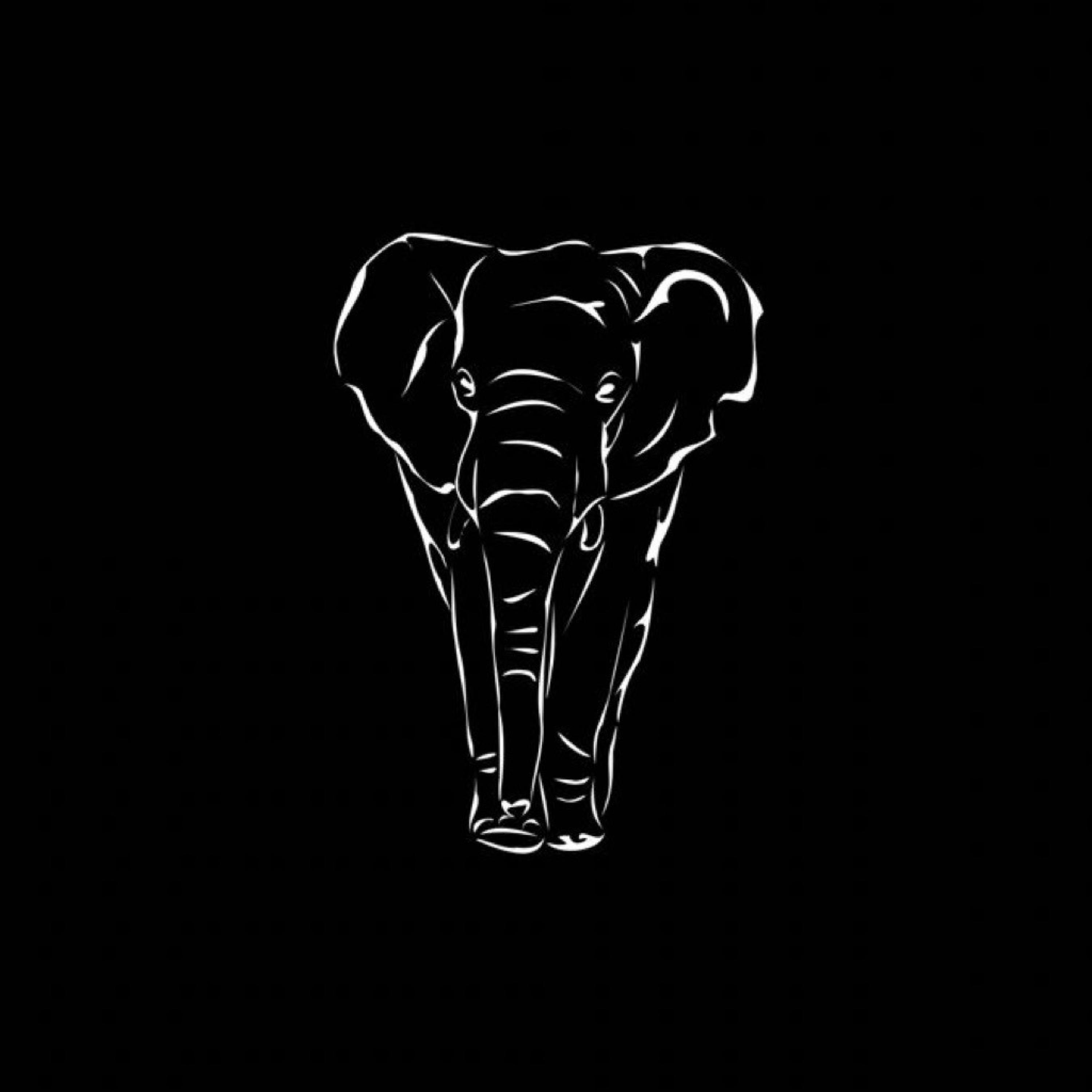 Tell Em' All About It - Skeeter - 单曲 - 网易云音乐