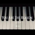 You Are The Reason (Cover)