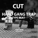 【已售断独家】GANG GANG SOUTHSIDE HARD BEAT专辑