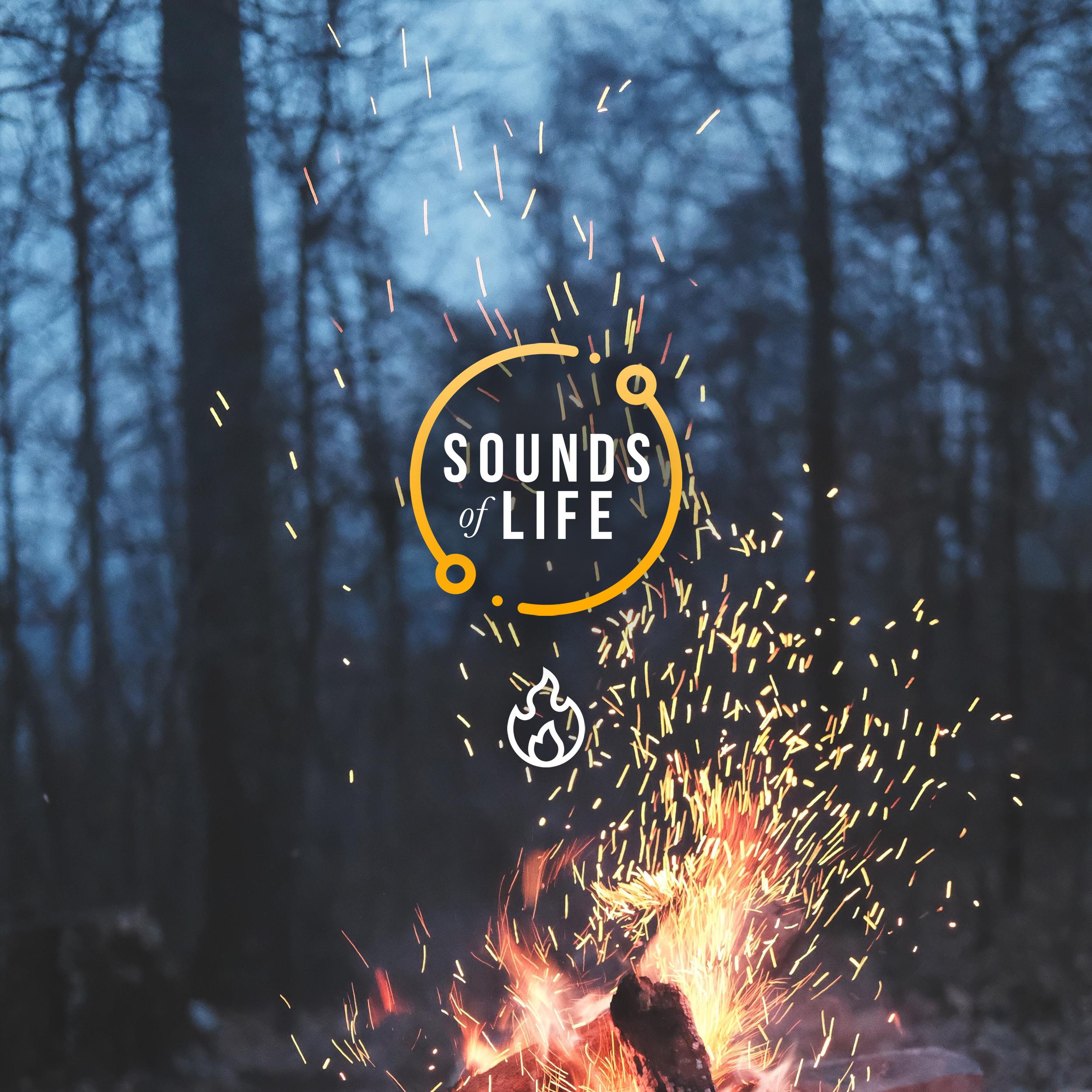 Fire and Crickets