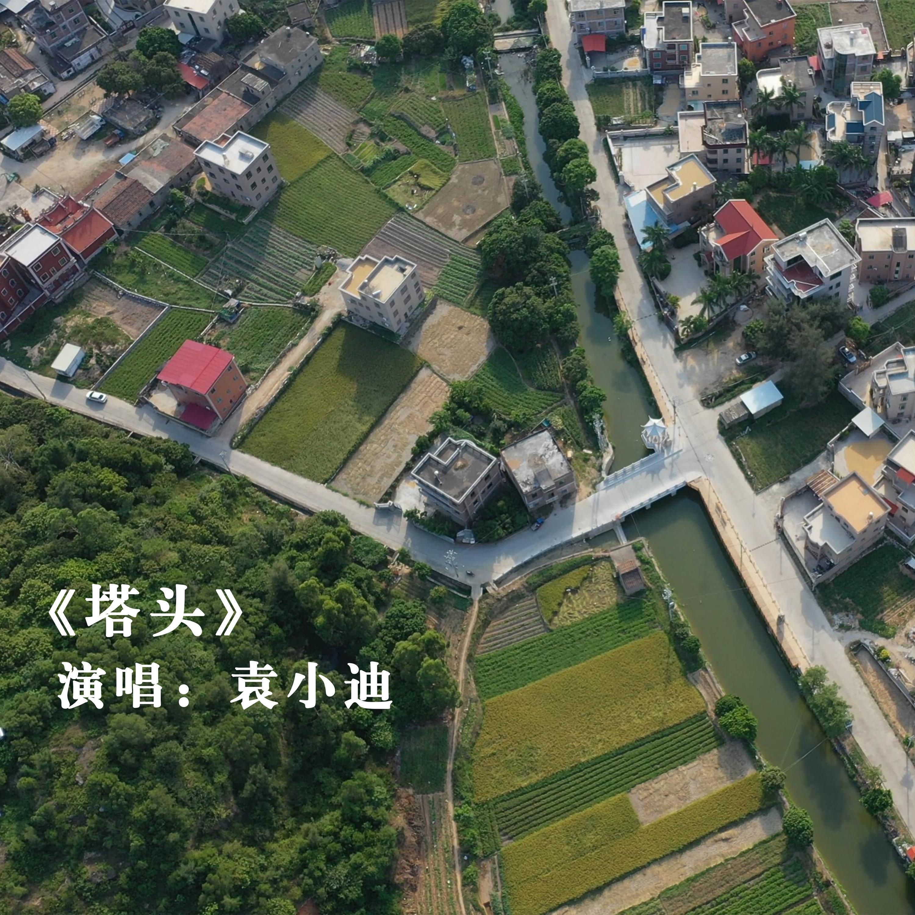 塔头