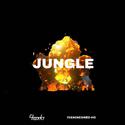 Jungle remix