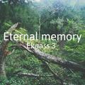 Eternal memory