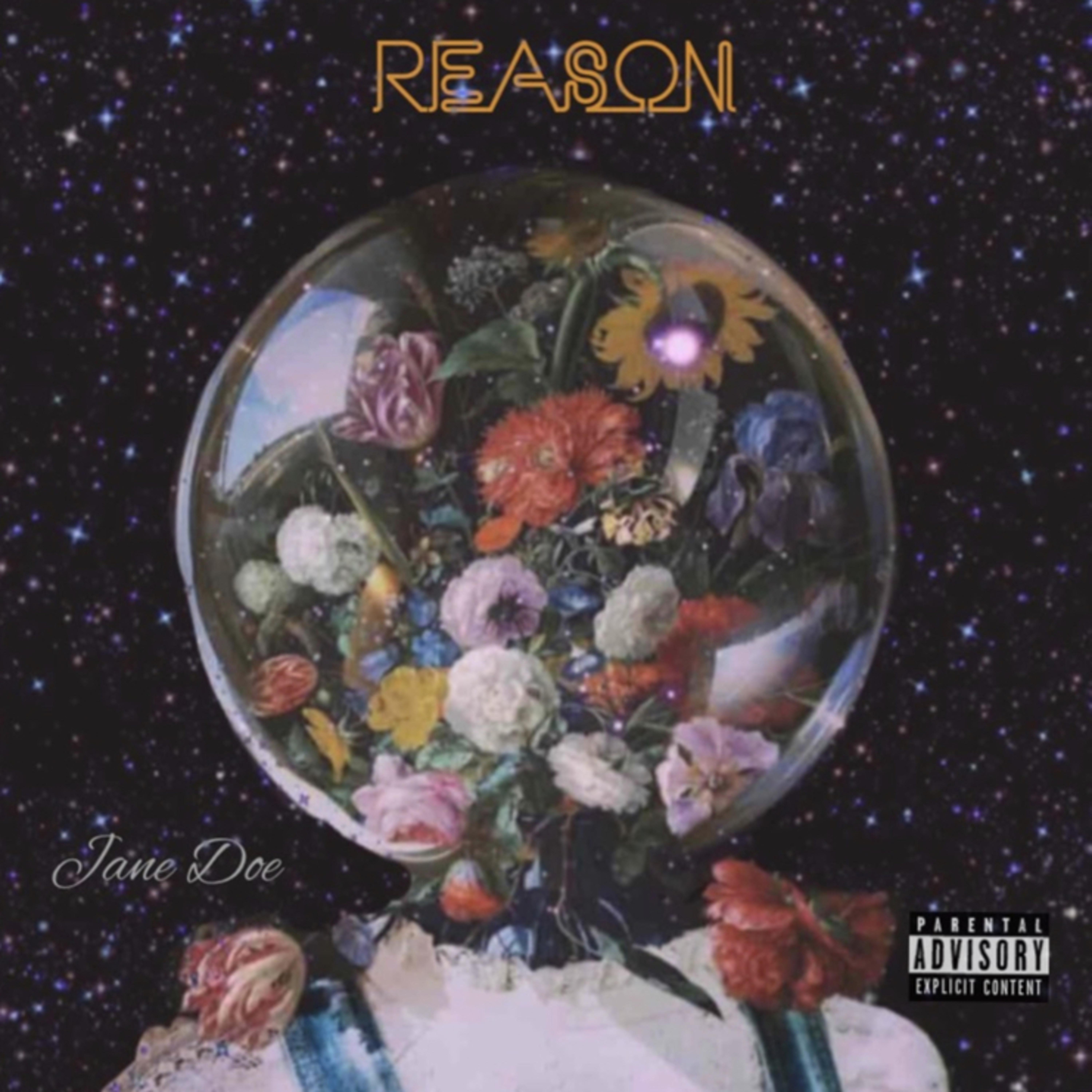 Reason