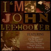 Hooker John Lee - Dimples (unofficial instrumental)
