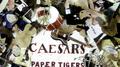Paper Tigers专辑