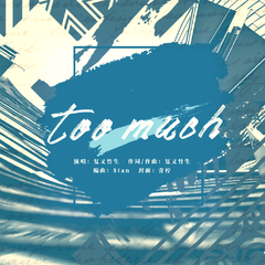 【原创】too much（你总是做太多）