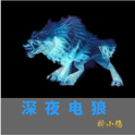 深夜电狼专辑