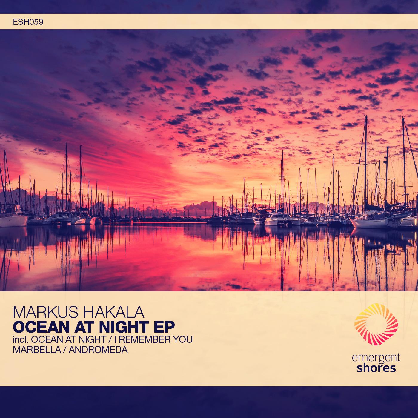 Ocean at Night
