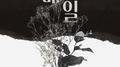매일专辑