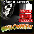 38 Sound Effects Fear, Terror, Horror Halloween