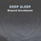 14 Relaxing Deep Sleep Binaural Soundwaves专辑