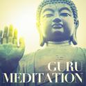 Guru meditation专辑