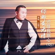 你那么无情还怪我狠心 (DJ1墨版)