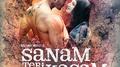 Sanam Teri Kasam (Original Motion Picture Soundtrack)专辑