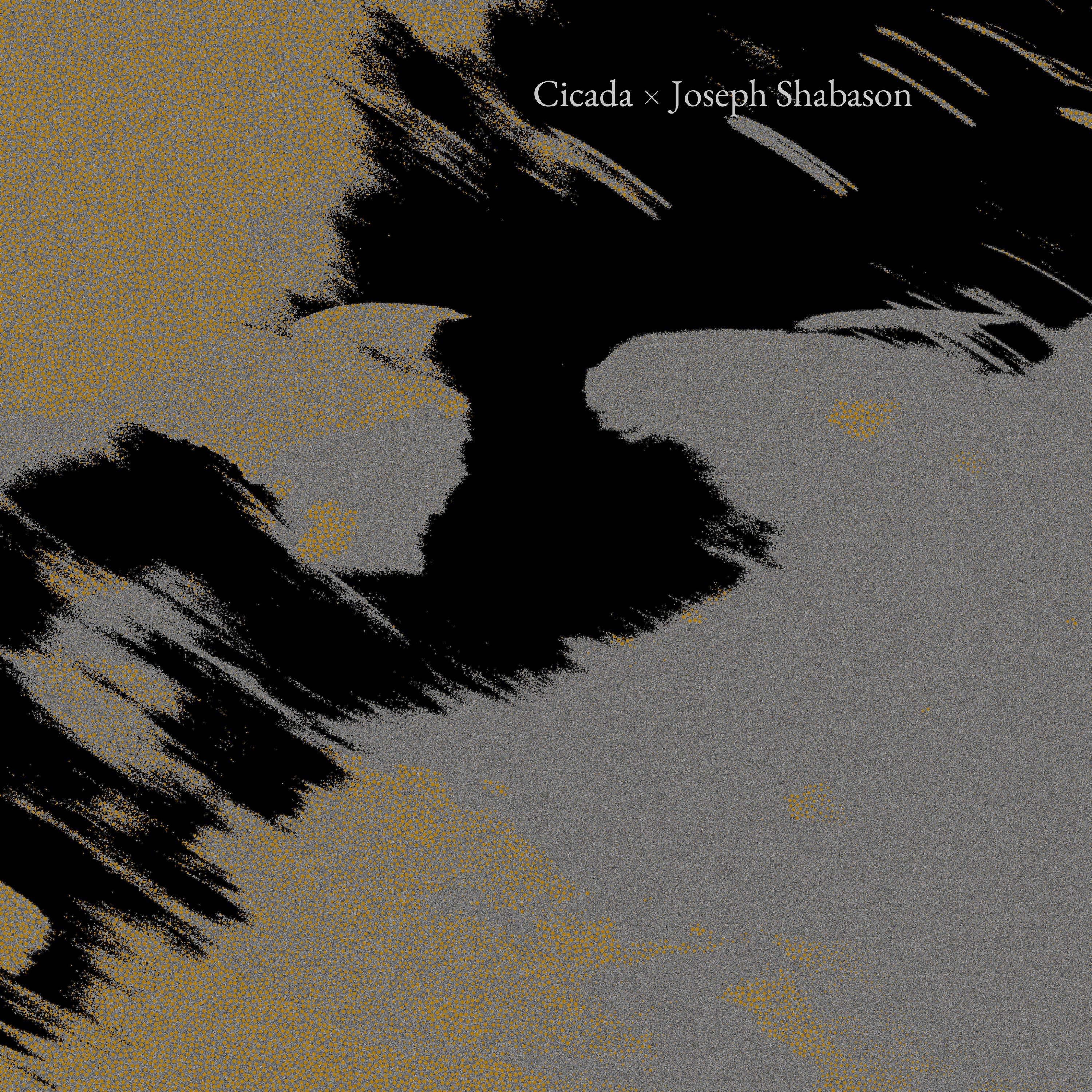 Where the Glacier Once Passed (Joseph Shabason Version)