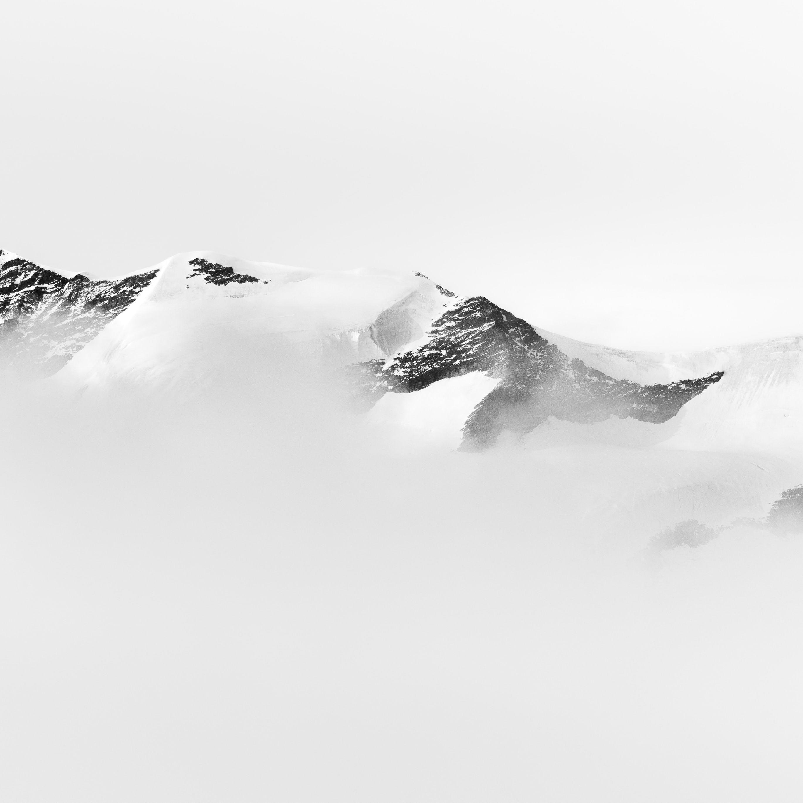 Asuo Asuo阿索阿索抖音神曲 Silent.Z Rework（Silent.Z remix）