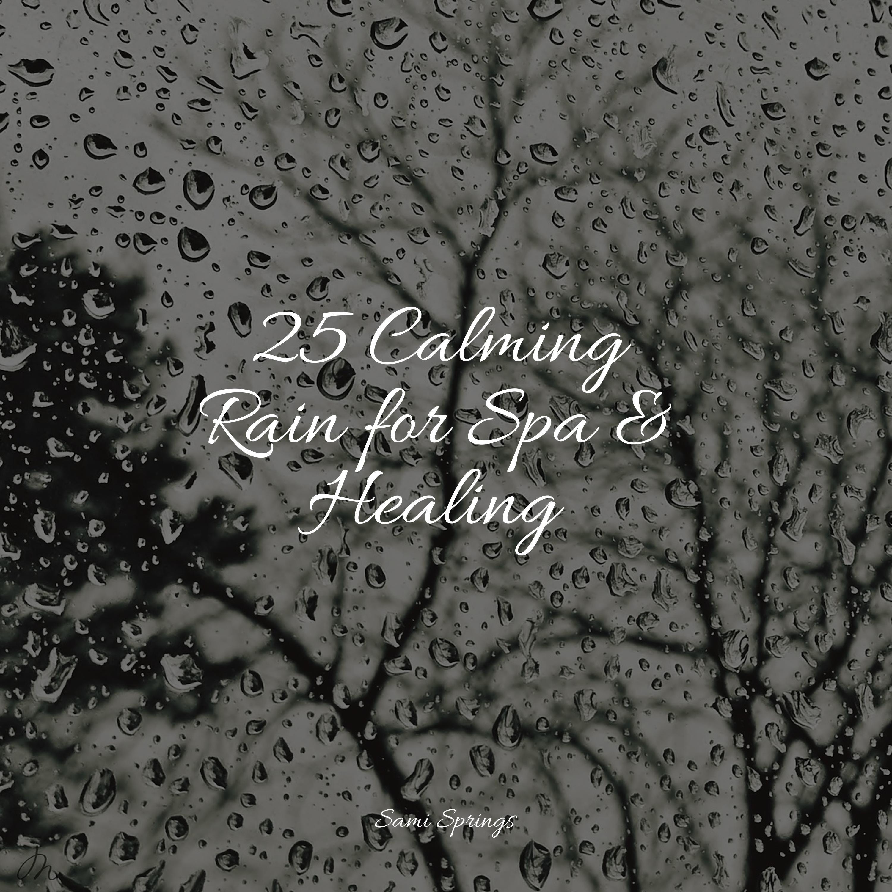 Academia de Música para Massagem Relaxamento - Drops of Rain