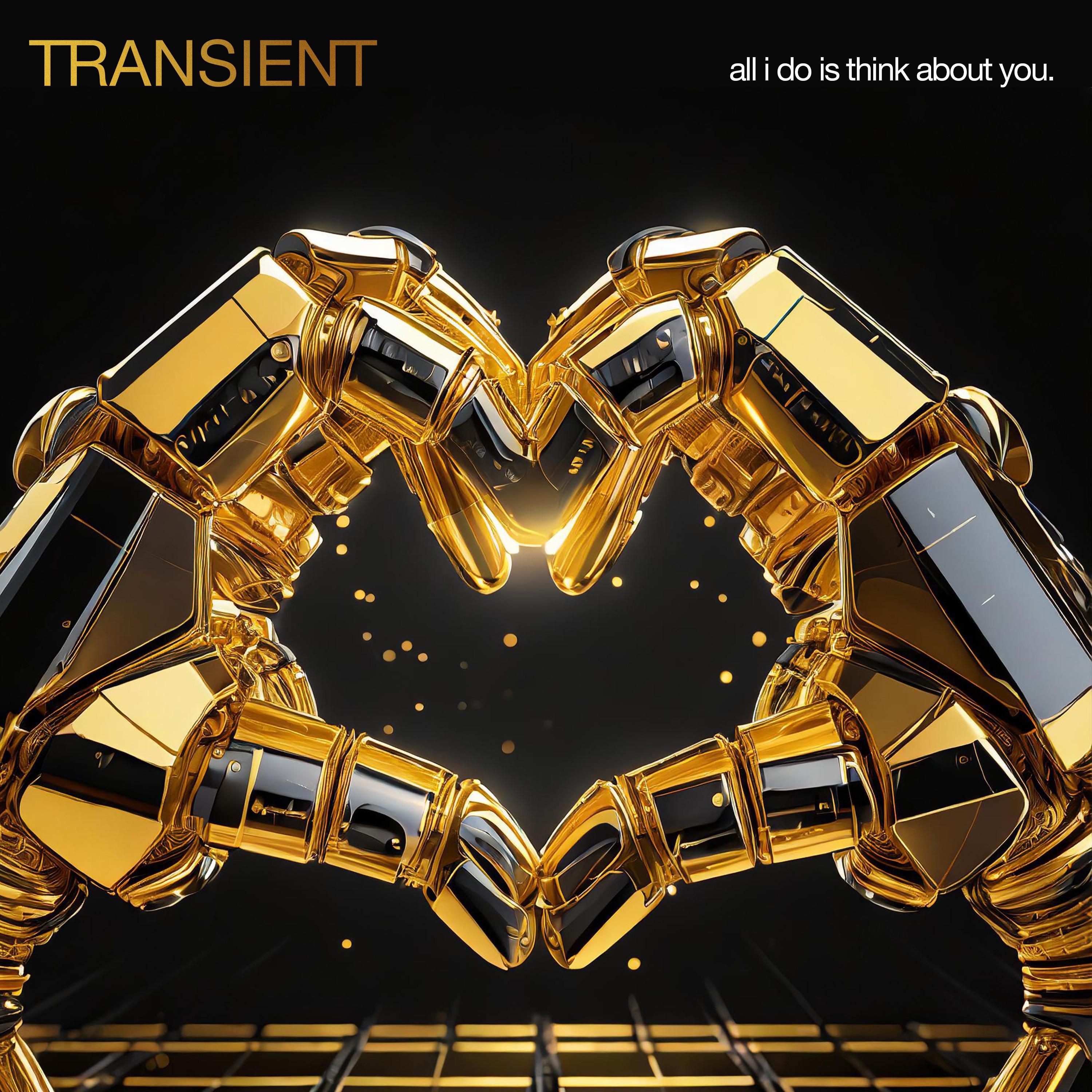 Transient - All I Do Is Think About You