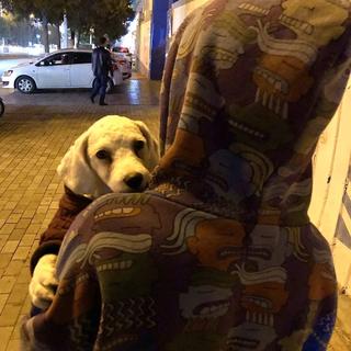 超好听的韩语翻唱