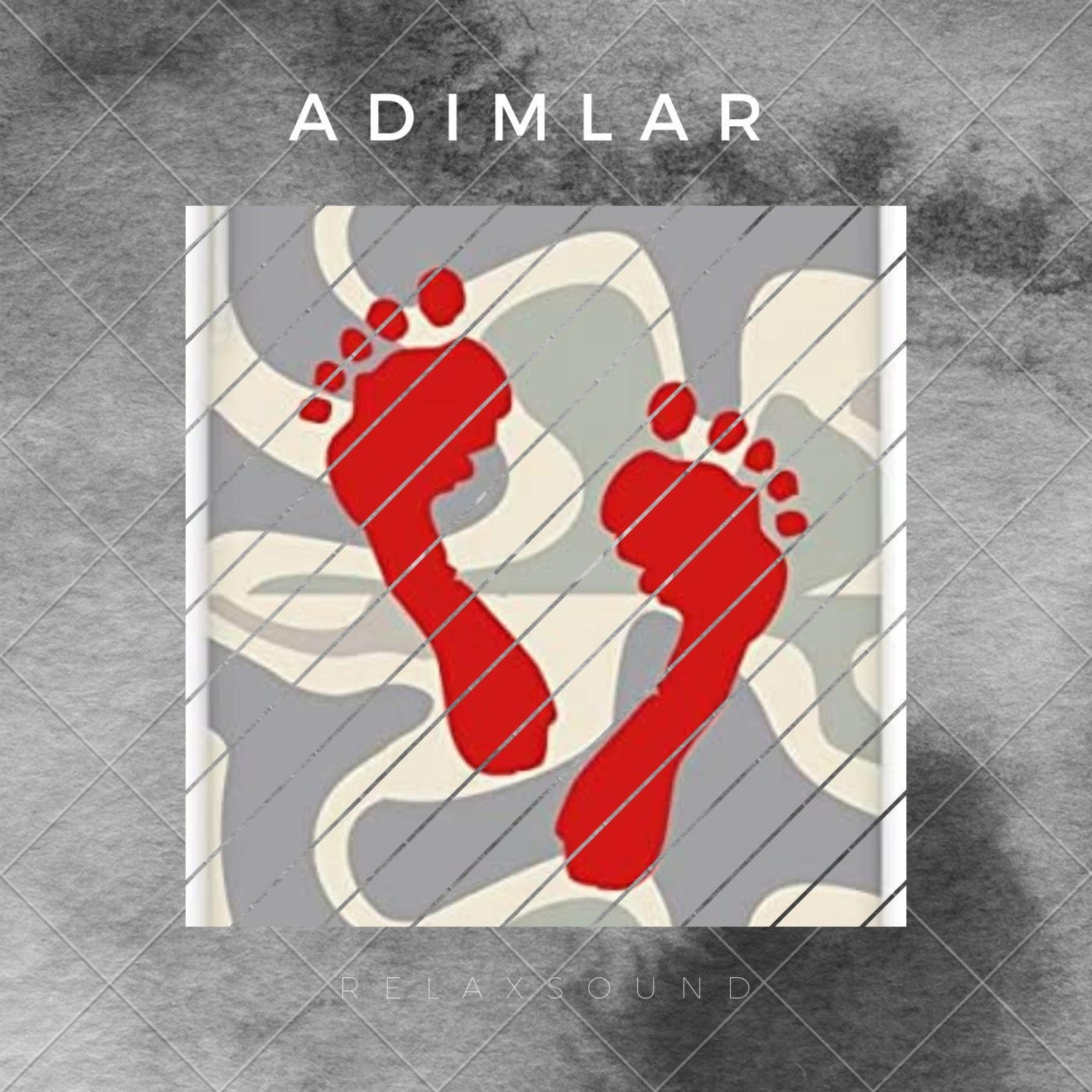 Adımlar
