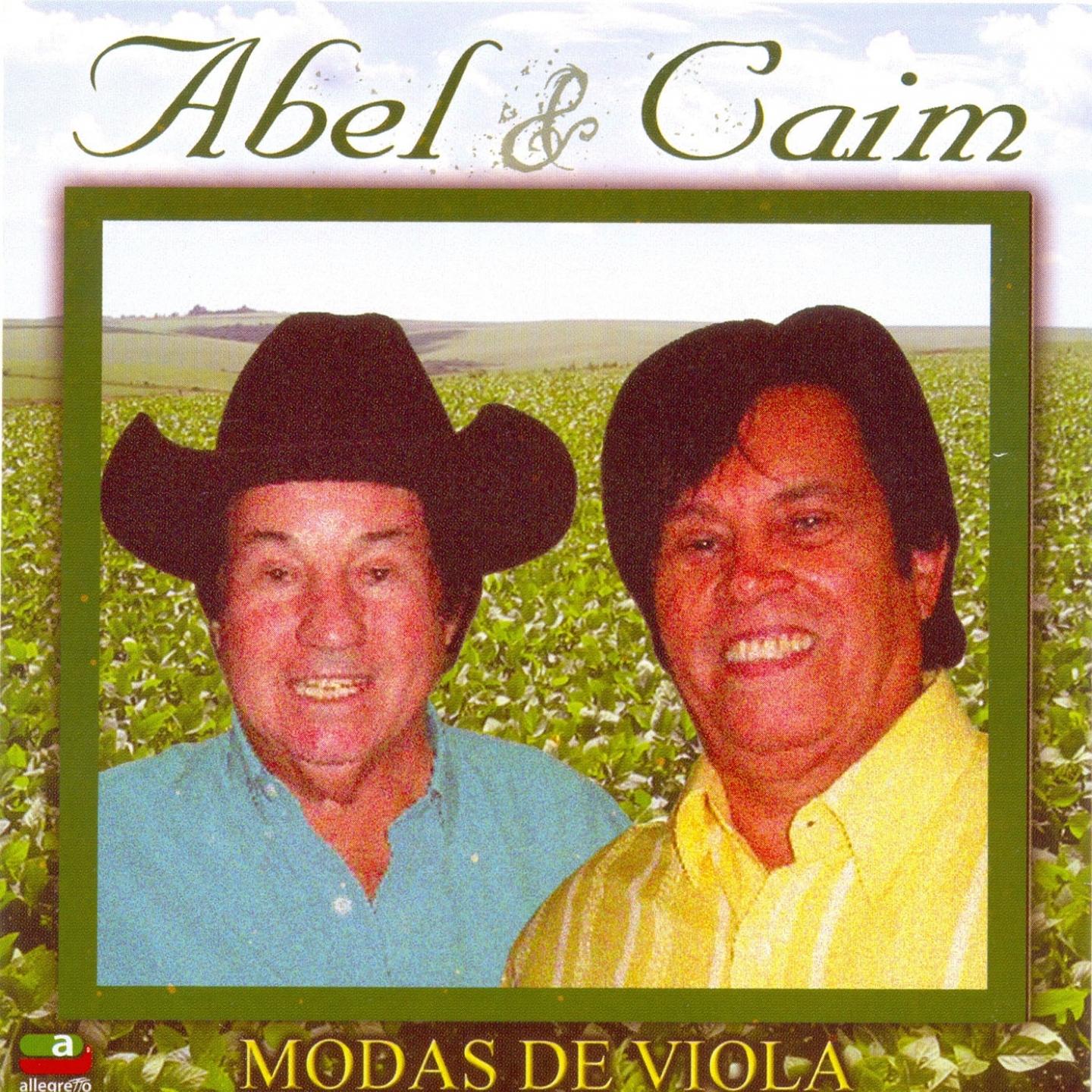 Modas de Viola
