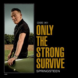 Bruce Springsteen - Do I Love You (Indeed I Do) (Karaoke) 带和声伴奏 （降6半音）