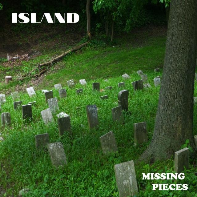 Missing Pieces