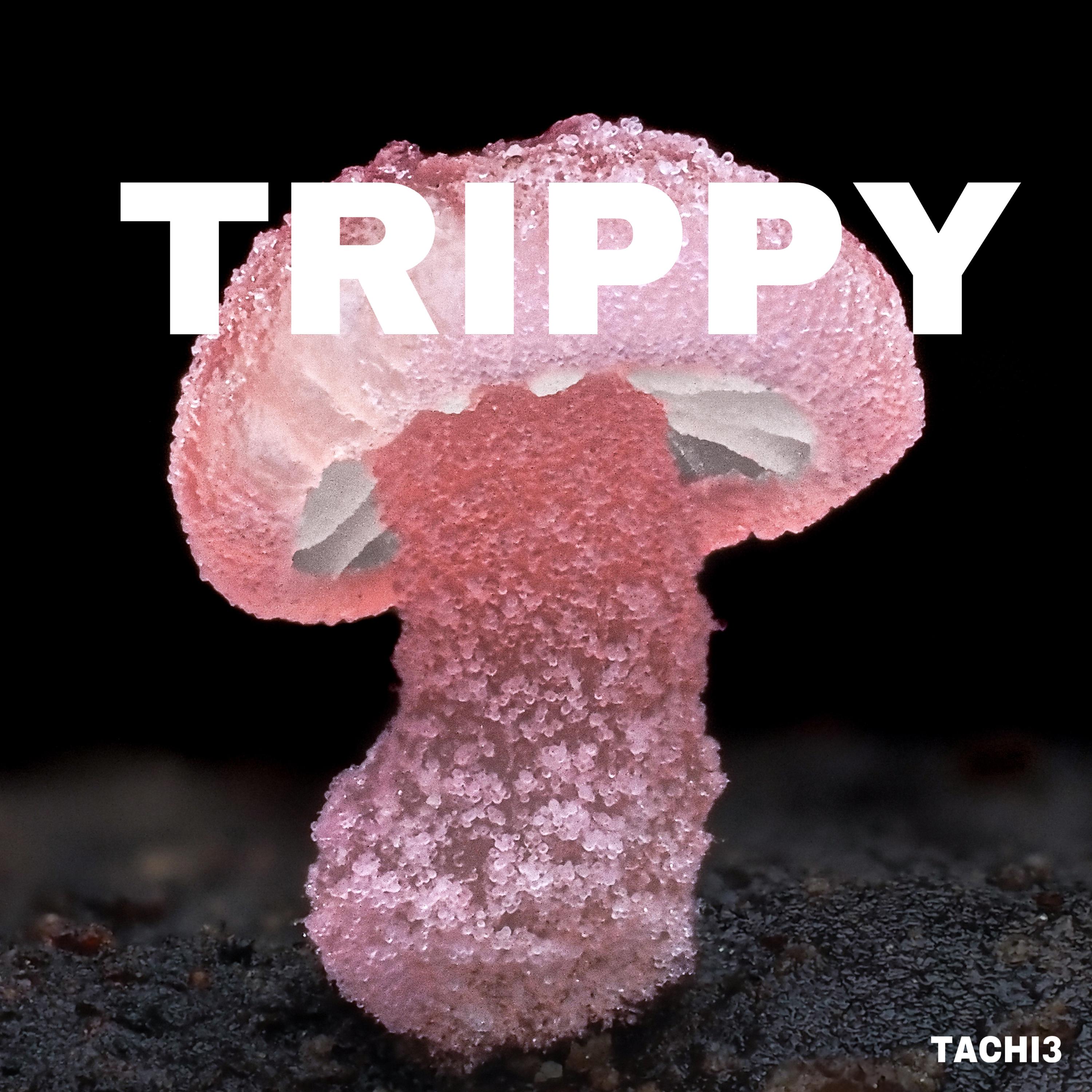 trippy专辑