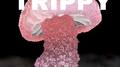 trippy专辑