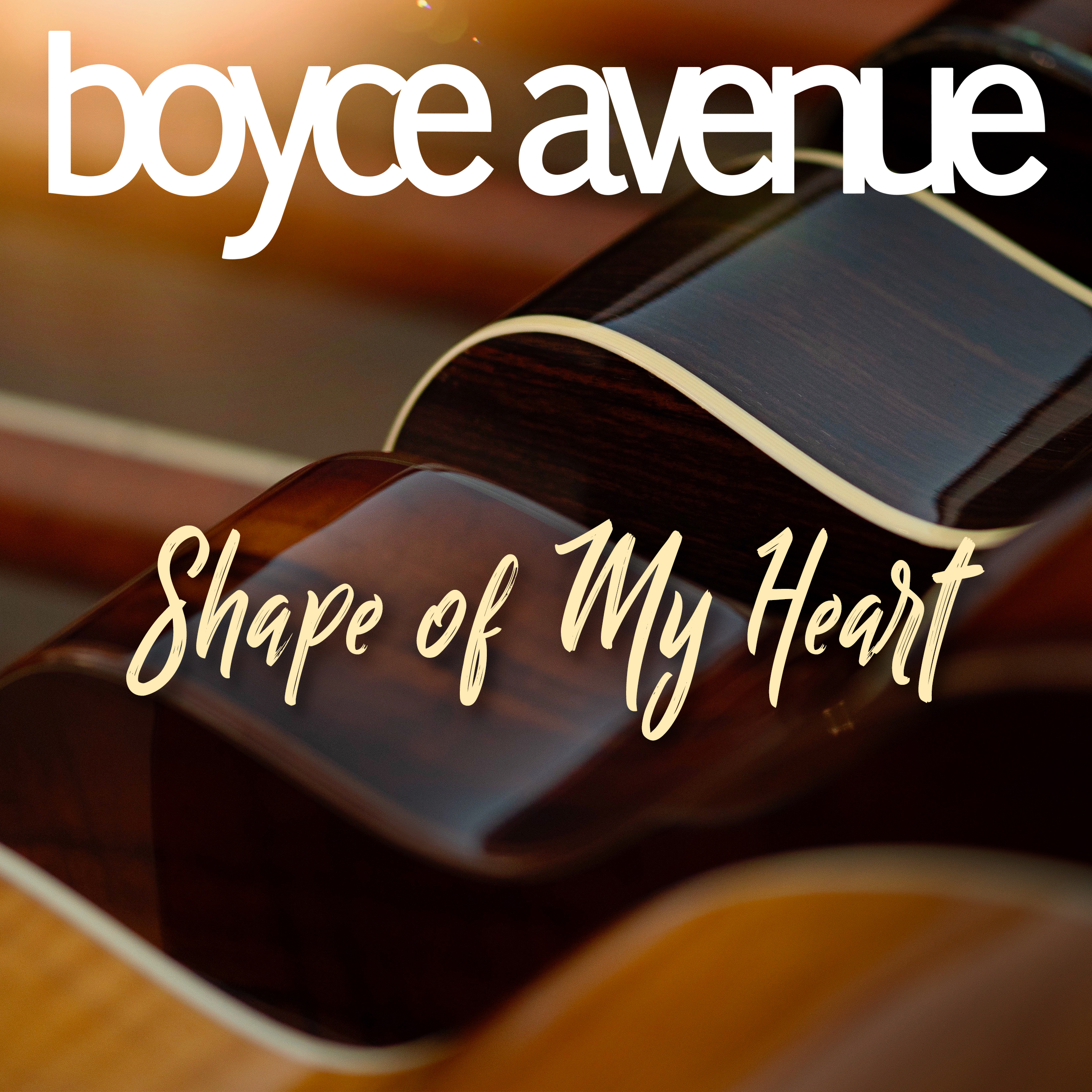 Boyce Avenue - Shape of My Heart
