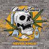 ChuckBrownLyrics - Never Know (feat. Sankofa & BISON.FC)