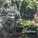 #17 Wondrous Music Tracks for Yoga专辑