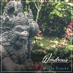 #17 Wondrous Music Tracks for Yoga专辑