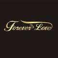 forever love FT.柏松poisson