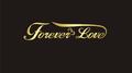 forever love FT.柏松poisson专辑