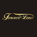 forever love FT.柏松poisson专辑