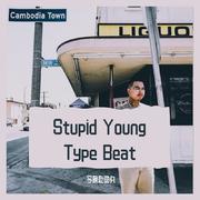 [免费]stupid young type