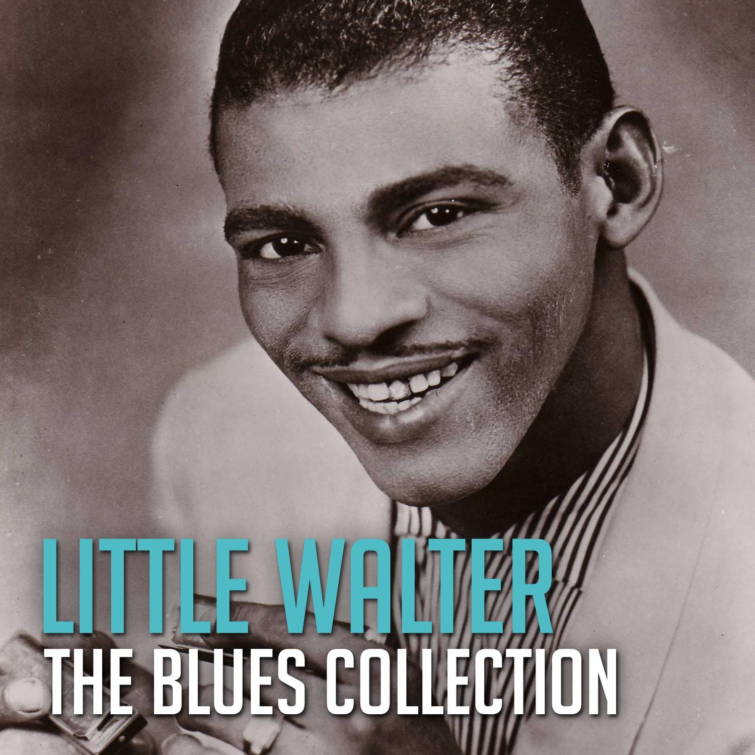 The Blues Collection: Little Walter