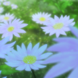 【Remix】花的颜色