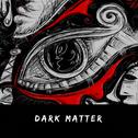 Dark Matter(Original Mix)专辑