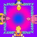 KAMEKAMEHA